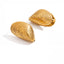 Pair of realistic gold shell stud earrings waterproof stainless steel jewelry.