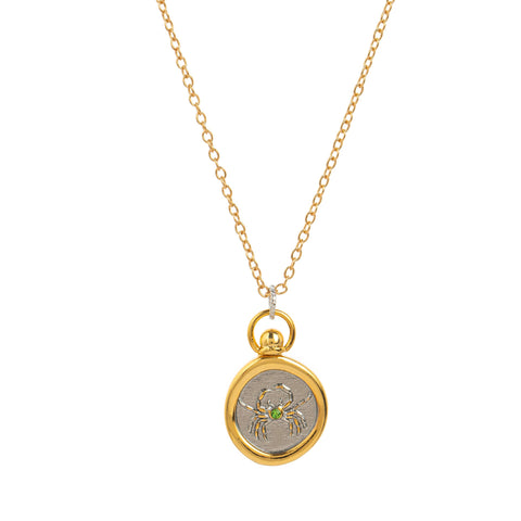 Two-Tone Zodiac Coin Necklace
